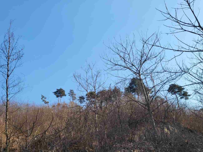 제시 목록 2 부동산