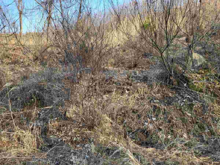 제시 목록 5 부동산