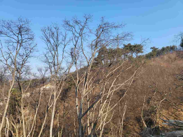 제시 목록 8 내지 13 부동산