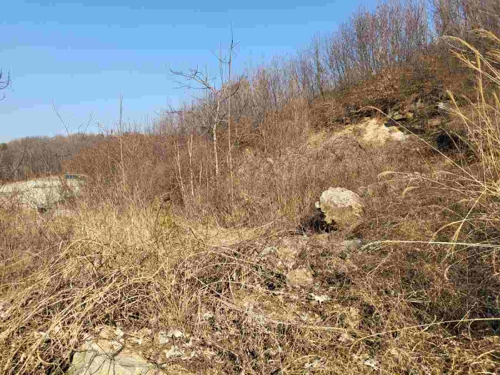 제시 목록 1 부동산