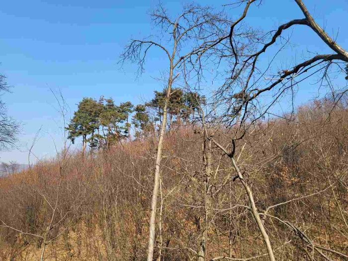 제시 목록 8 내지 13 부동산