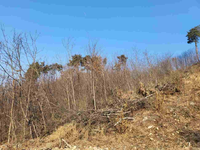 제시 목록 8 내지 13 부동산