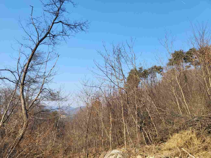 제시 목록 8 내지 13 부동산