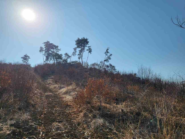 제시 목록 8 내지 13 부동산