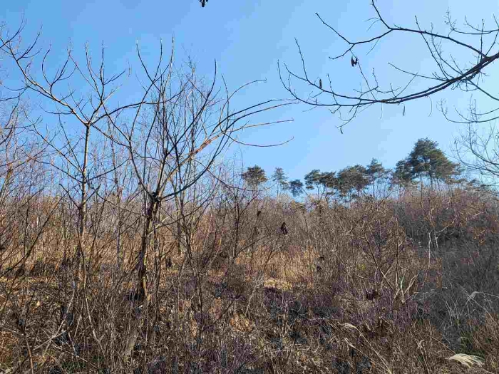 제시 목록 2 부동산