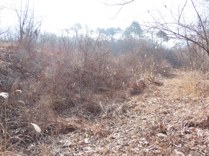 기호(5,1);북서측에서 촬영