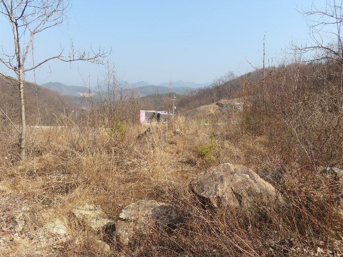 기호(1,5);남측에서 촬영