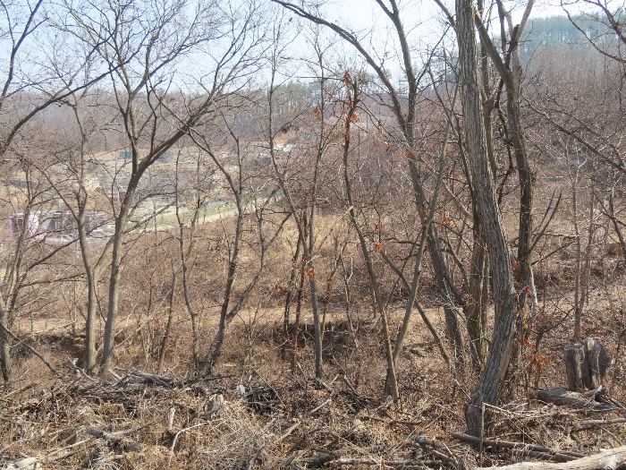 기호(1,5);서측에서 촬영