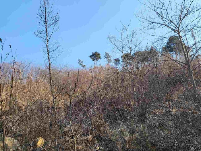 제시 목록 2 부동산