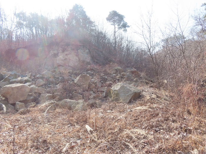 기호(7,9,10,11,12)