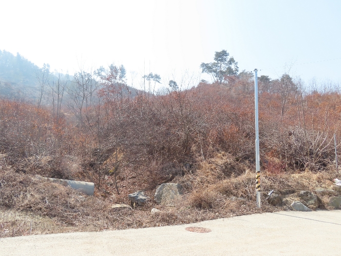 기호(2,13,8,9);북측에서 촬영