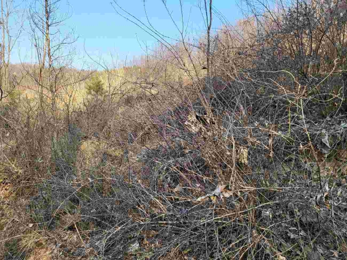 제시 목록 5 부동산