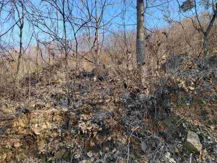 제시 목록 5 부동산