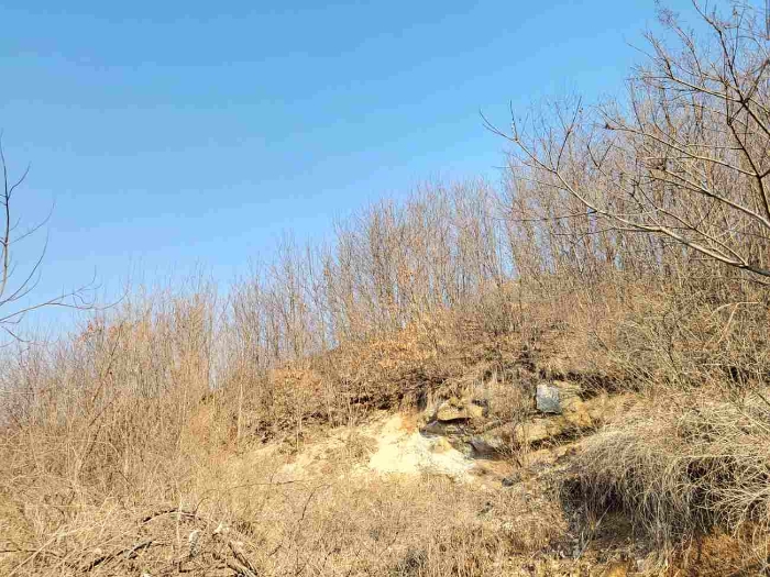 제시 목록 6 부동산