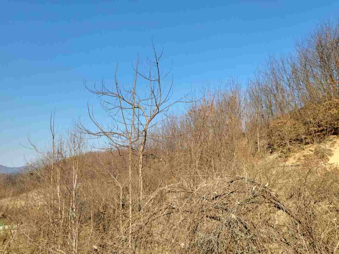 제시 목록 6 부동산