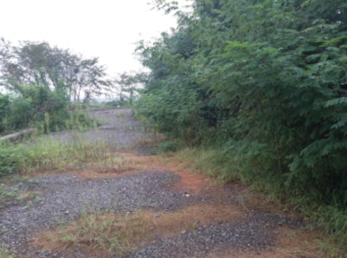 * 본건 목적물 1. 3. 전경