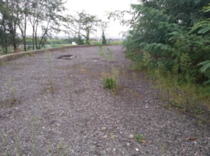 * 본건 목적물 1. 3. 전경