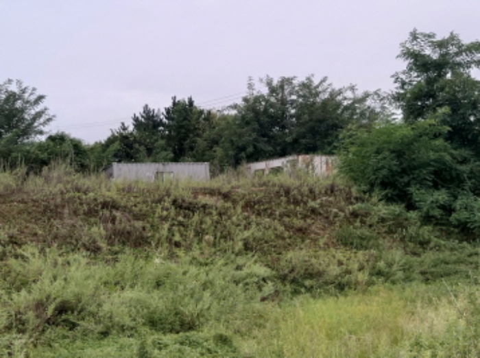 * 본건 목적물 1. 3. 전경