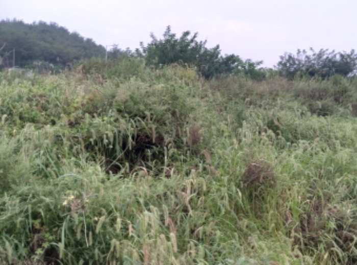 * 본건 목적물 1. 3. 전경