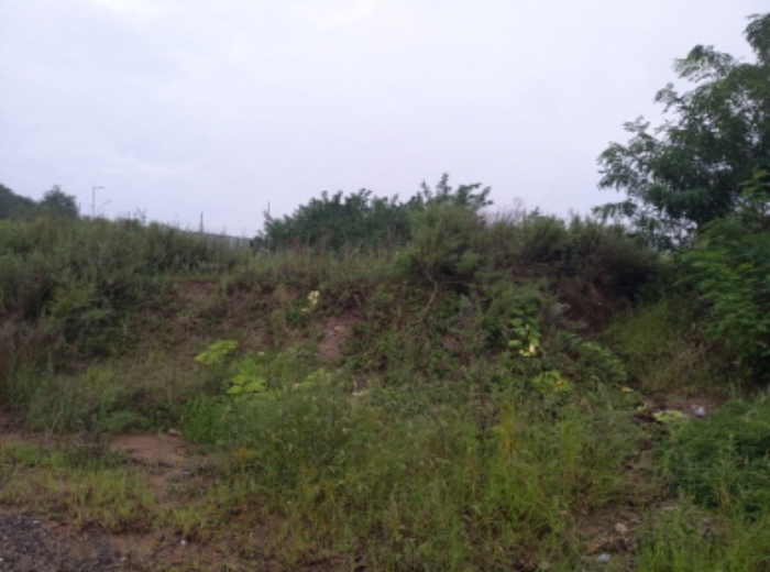 * 본건 목적물 1. 3. 전경