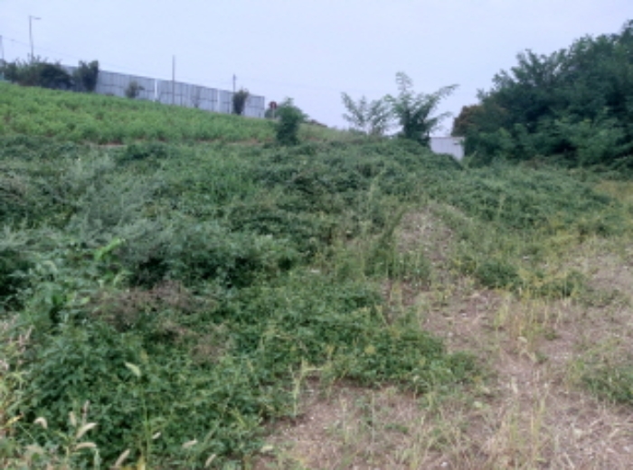 * 본건 목적물 1. 3. 전경