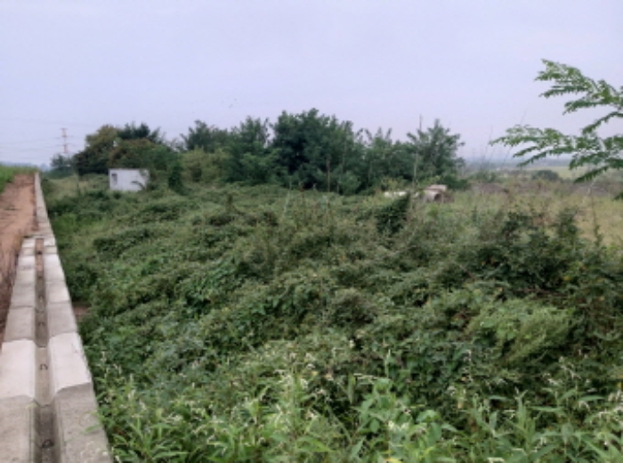 * 본건 목적물 1. 3. 전경