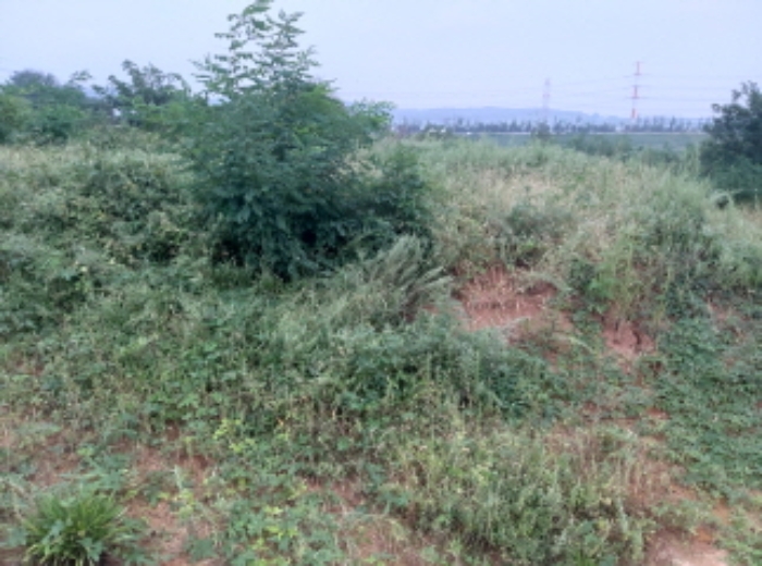 * 본건 목적물 1. 3. 전경