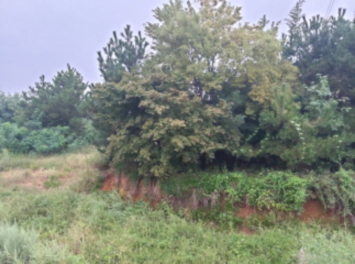 * 본건 목적물 1. 3. 전경