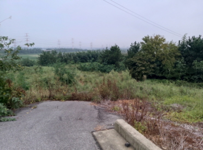 * 본건 목적물 1. 3. 전경