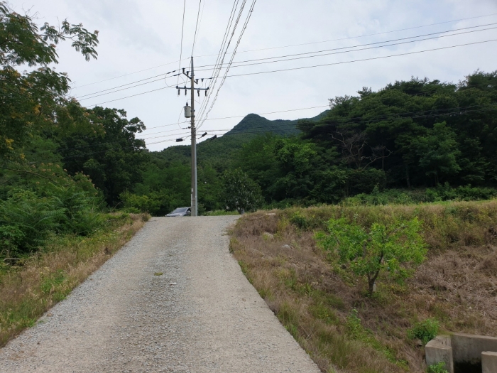 본건 및 주위환경