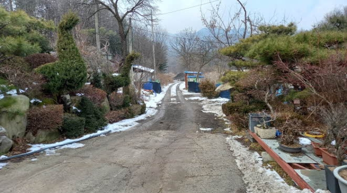 본건 부동산 진