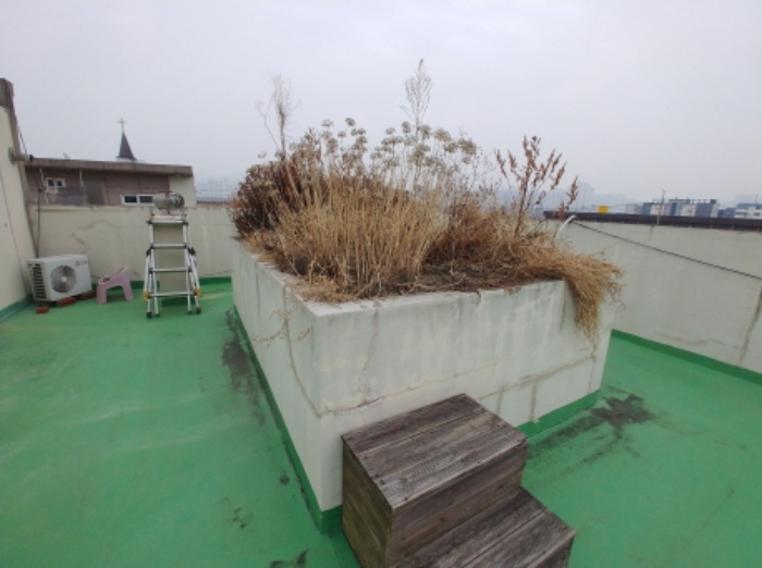 제시외 옥상 화