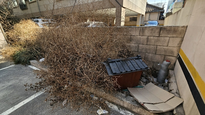 화단 및 야외수