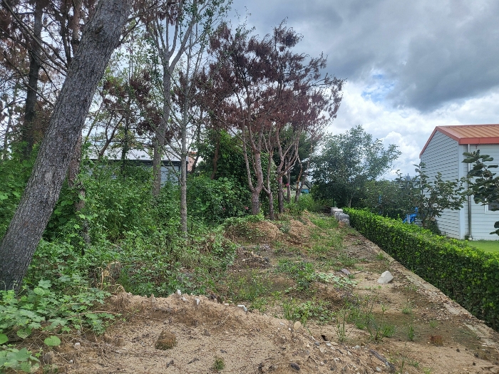 기호(1) 도로포장 이외 부분