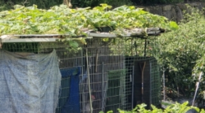 경북 칠곡군 가