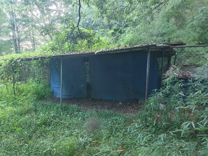 [제시외건물 ㅊ