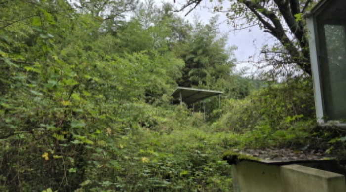 경북 칠곡군 동