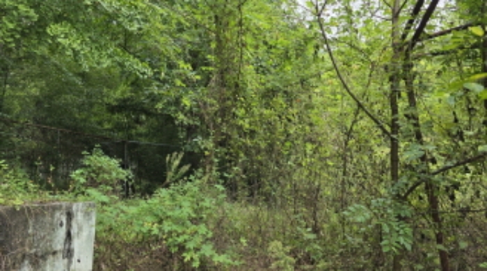 경북 칠곡군 동