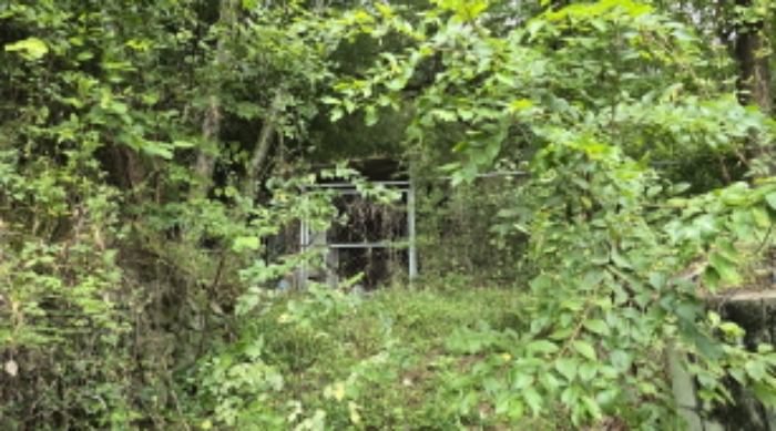 경북 칠곡군 동