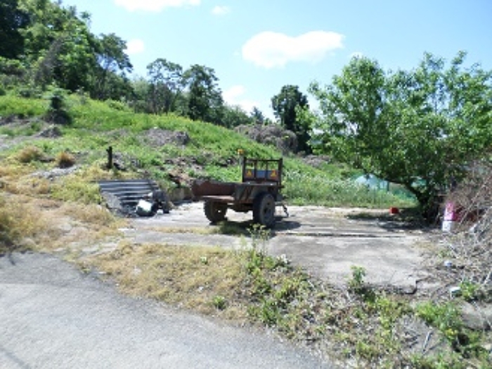 목록1 근접촬영