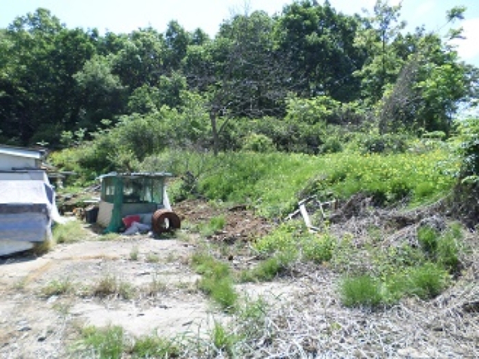 목록3 근접촬영