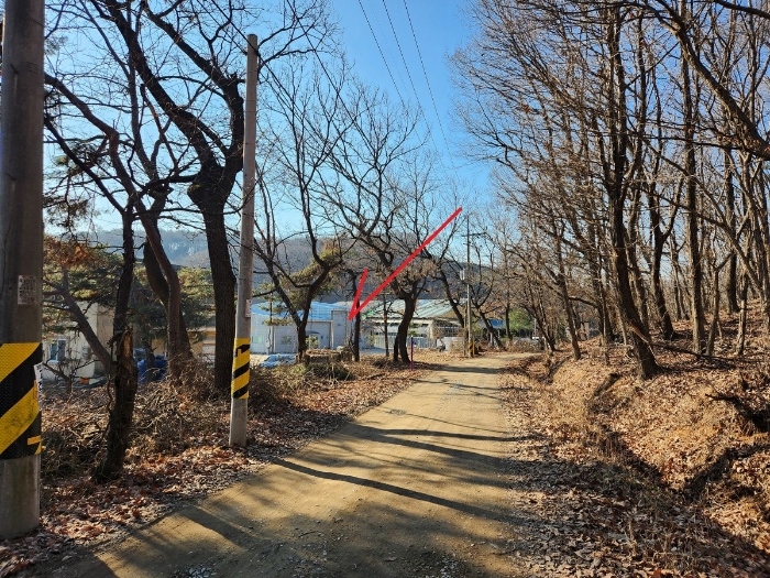 【본건 및 인근