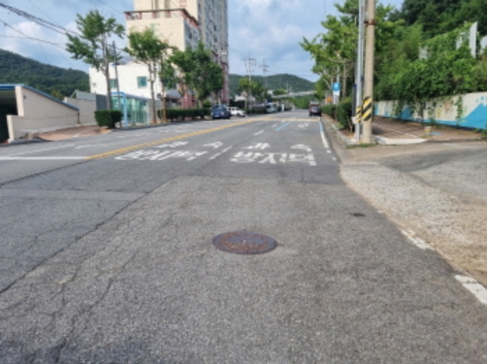 본건 북측에 위차한 아스팔트 도로변의 모습