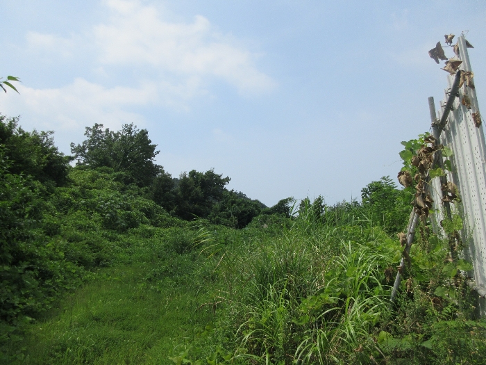 본건전경(기호1,2)