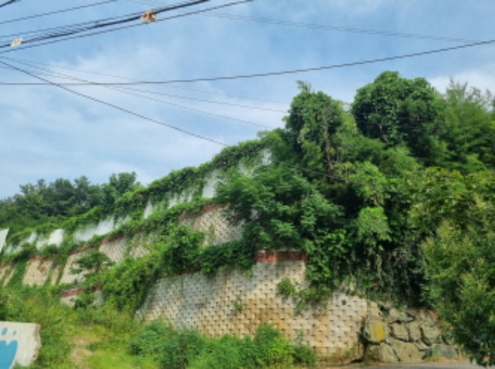 본건 서측 경계 및 전경