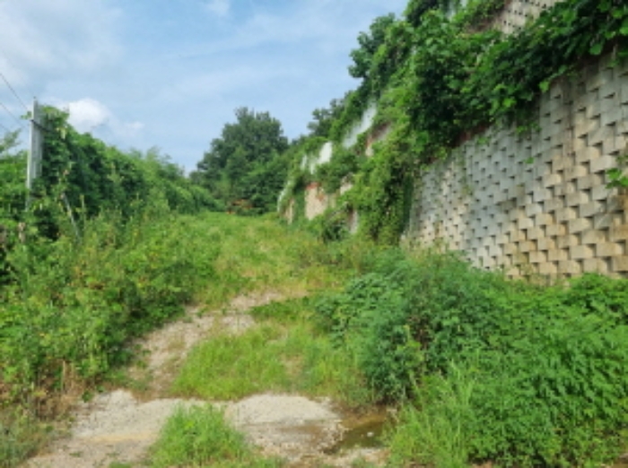 본건 3항 및 4항의 진입구간 모습