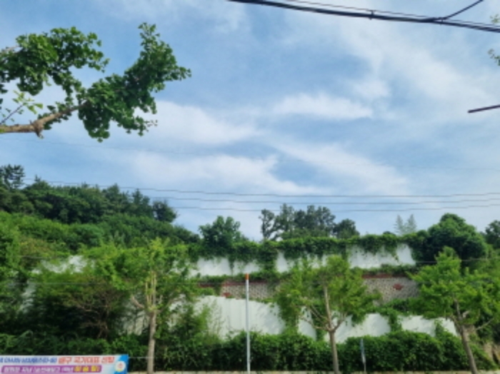 본건 전경 (옹벽이 소재함)