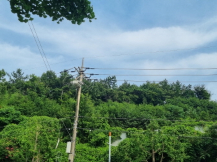 본건 동측 경계 및 전경