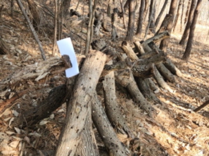 버섯재배목 및 안내장