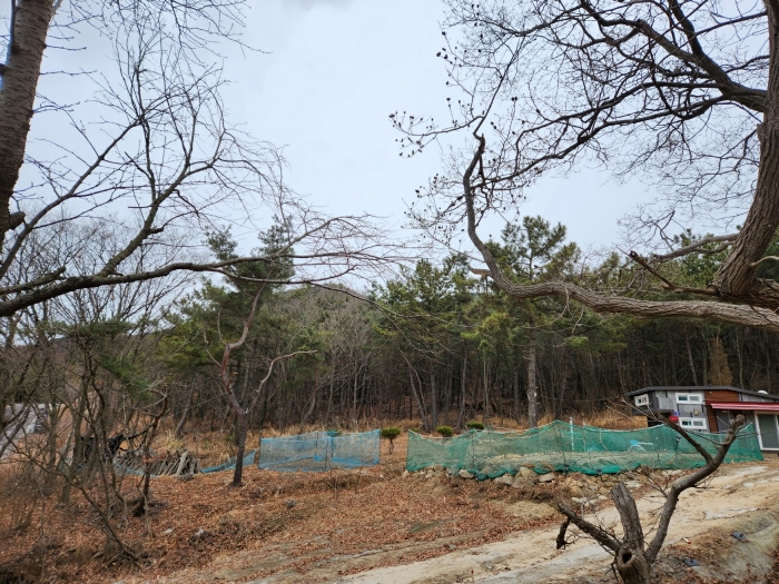 본건 및 주위환경